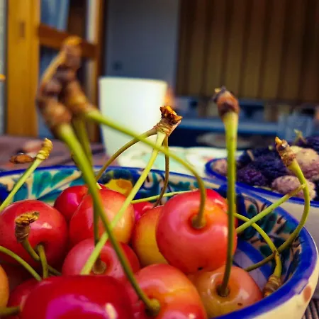 Colazione Dei Canottieri