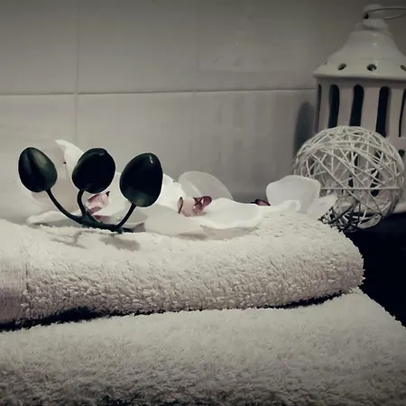 Colazione Dei Canottieri Nocleg ze śniadaniem