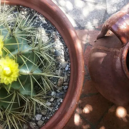 Colazione Dei Canottieri Bed & Breakfast