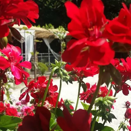Colazione Dei Canottieri 3* Lago (Calabria)